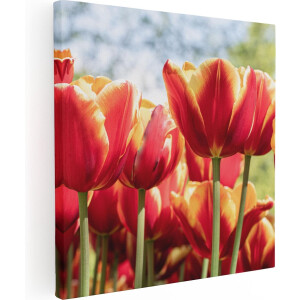 Artaza Canvas Schilderij Oranje Rode Tulpen  - 40x40 - Klein - Foto Op Canvas - Canvas Print