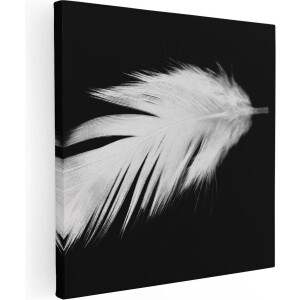 Artaza Canvas Schilderij Veer - 90x90 cm - Wanddecoratie Minimalistisch - Muurdecoratie Zwart Wit - Decoratie Close-Up