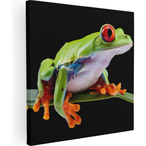 Artaza Canvas Schilderij Kikker met Rode Ogen op een Plant - 90x90 - Groot - Foto Op Canvas - Canvas Print