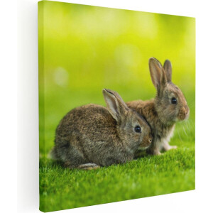 Artaza Canvas Schilderij Twee Konijnen Op Het Groene Gras - 50x50 - Foto Op Canvas - Canvas Print