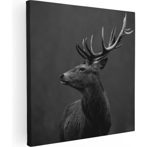 Artaza Canvas Schilderij Hertenkop - Hert - Zwart Wit - 70x70 - Foto Op Canvas - Canvas Print