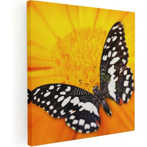 Artaza Canvas Schilderij Bloem Met Vlinder - 30x30 cm - Klein - Muurdecoratie Vlinders - Wanddecoratie Bloemen - Schilderijen Op Canvas
