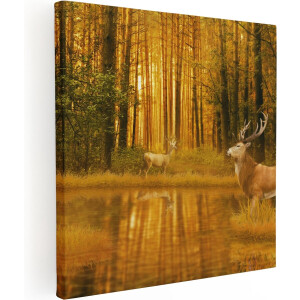 Artaza Canvas Schilderij Twee Herten In Het Bos Bij Het Water - 70x70 - Foto Op Canvas - Canvas Print