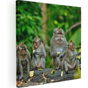 Artaza Canvas Schilderij Groep Apen Eten Bananen In Het Bos - 40x40 - Klein - Foto Op Canvas - Canvas Print
