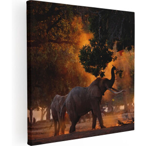 Artaza Canvas Schilderij Twee Olifanten In Het Bos - 40x40 - Klein - Foto Op Canvas - Canvas Print