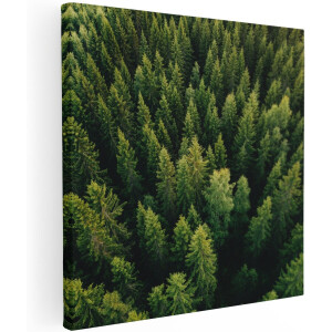 Artaza Canvas Schilderij Bos Met Bomen Vanaf Boven - 100x100 cm - Groot - Wanddecoratie Woonkamer - Schilderijen - Muurdecoratie