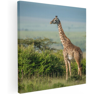 Artaza Canvas Schilderij Giraffe In Het Wild Tussen De Struiken - 100x100 cm - Groot - Wanddecoratie Woonkamer - Schilderijen - Muurdecoratie