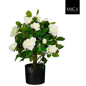 Mica Decorations Rozen in een pot - 60 x 40 cm - Wit