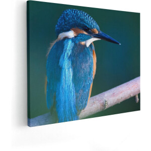 Artaza Canvas Schilderij Blauwe IJsvogel Op Een Tak - 50x40 - Foto Op Canvas - Canvas Print