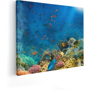 Artaza Canvas Schilderij Onderwater Vissen Met Koraal In De Zee - 50x40 cm - Wanddecoratie Woonkamer - Schilderijen - Muurdecoratie