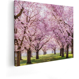 Artaza Canvas Schilderij Roze Bloesembomen Park - Bloemen - 50x40 cm - Wanddecoratie Woonkamer - Schilderijen - Muurdecoratie