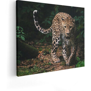 Artaza Canvas Schilderij Luipaard In Het Bos - 100x80 - Groot - Foto Op Canvas - Canvas Print