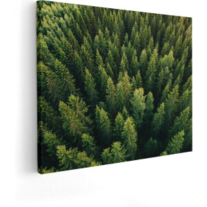 Artaza Canvas Schilderij Bos Met Bomen Vanaf Boven - 100x80 - Groot - Foto Op Canvas - Canvas Print