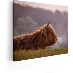Artaza Canvas Schilderij Schotse Hooglander Koe Ligt In Het Gras - 50x40 - Foto Op Canvas - Canvas Print