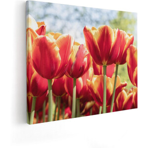 Artaza Canvas Schilderij Tulpen - 100x80 cm - Groot - Wanddecoratie Bloemen - Muurdecoratie Lente - Schilderijen Op Canvas
