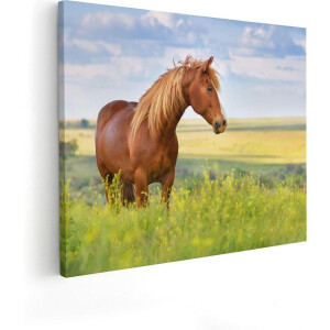 Artaza Canvas Schilderij Paard - 100x80 cm - Groot - Wanddecoratie Paarden - Muurdecoratie Natuur - Schilderijen Op Canvas Woonkamer