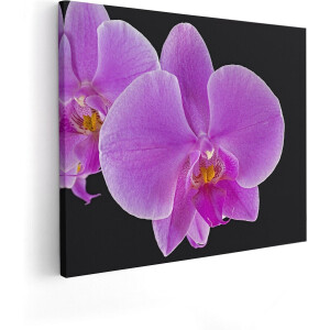 Artaza Canvas Schilderij Licht Paarse Orchidee - Bloem - 50x40 - Foto Op Canvas - Canvas Print