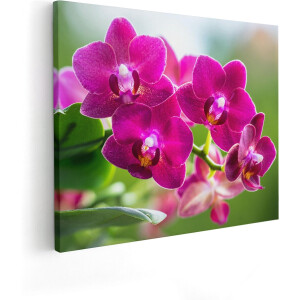 Artaza Canvas Schilderij Roze Orchidee Bloemen - 100x80 - Groot - Foto Op Canvas - Canvas Print