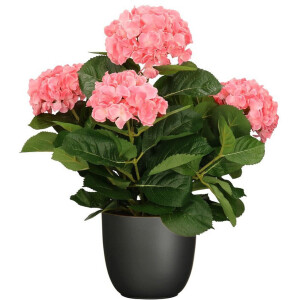 Hortensia kunstplant/kunstbloemen 45 cm - roze - in pot zwart mat - Kunst kamerplant