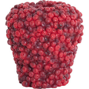 Light & Living - Vaas BERRIES - Ø25x25cm - Rood
