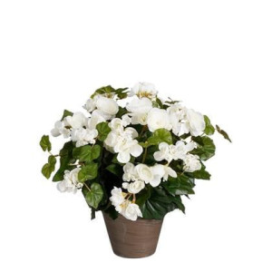 Mica Decorations Begonia Kunstplant - H37 x Ã36 cm - Wit