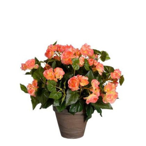 Mica Decorations Begonia Kunstplant - H37 x Ã36 cm - Zalmroze