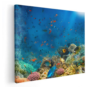 Artaza Canvas Schilderij Onderwater Vissen Met Koraal In De Zee - 150x120 cm - Groot - Wanddecoratie Woonkamer - Schilderijen - Muurdecoratie