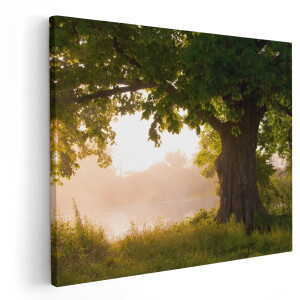 Artaza Canvas Schilderij Eikenboom Aan Het Water Met Volle Bladeren - 150x120 cm - Groot - Wanddecoratie Woonkamer - Schilderijen - Muurdecoratie