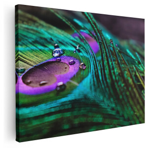 Artaza Canvas Schilderij Kleurrijke Pauw Veer Met Waterdruppels - 160x120 cm - Groot - Wanddecoratie Woonkamer - Schilderijen - Muurdecoratie