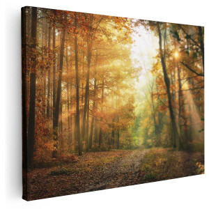 Artaza Canvas Schilderij Herfstbos Met Zonneschijn - 160x120 cm - Groot - Wanddecoratie Woonkamer - Schilderijen - Muurdecoratie