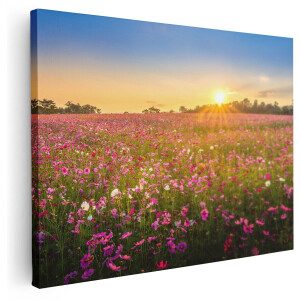 Artaza Canvas Schilderij Bloemenveld Met Roze Kosmos - 160x120 cm - Groot - Wanddecoratie Woonkamer - Schilderijen - Muurdecoratie