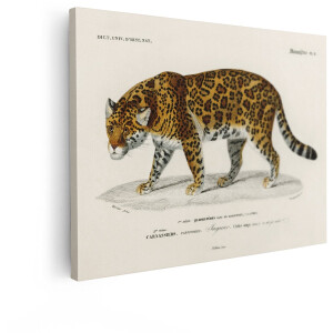 Artaza Canvas Schilderij Jaguar - 80x60 cm - Wanddecoratie Dieren - Muurdecoratie Vintage Illustratie - Decoratie Natuur Schilderij