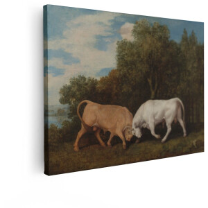 Artaza Canvas Schilderij Stieren - 80x60 cm - Wanddecoratie Dieren - Muurdecoratie Landschap - Decoratie Natuur Klassiek