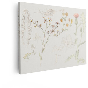 Artaza Canvas Schilderij Botanische Illustratie - 120x90 cm - Wanddecoratie Bloemen - Muurdecoratie Vintage - Decoratie Wilde Planten