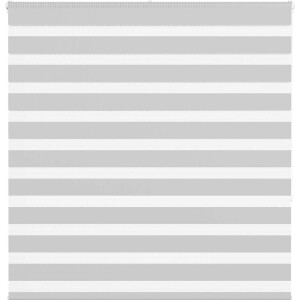 vidaXL - Zebra - rolgordijn - 150x150 - cm - stofbreedte - 145,9 - cm - lichtgrijs