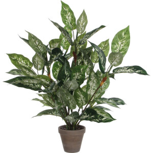 Mica Decorations groene Dieffenbachia kunstplant - 70 cm - in pot - Kunstplanten/nepplanten