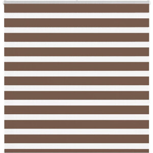 vidaXL - Zebra - rolgordijn - 150x150 - cm - stofbreedte - 145,9cm - polyester - bruin