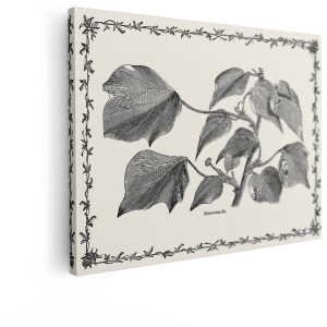Artaza Canvas Schilderij Bladeren - 40x30 cm - Botanische Wanddecoratie Vintage - Muurdecoratie Planten - Retro Decoratie Brocante