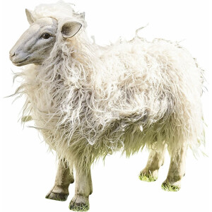 LOBERON Decoratief schaap Justin beige