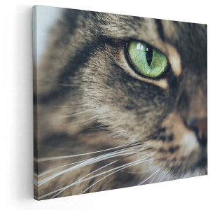 Artaza Canvas Schilderij Kat Met Groene Ogen Van Dichtbij - 150x120 cm - Groot - Wanddecoratie Woonkamer - Schilderijen - Muurdecoratie