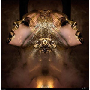 Kristal Helder Galerie kwaliteit Plexiglas 5mm. - Blind Aluminium Ophangframe - Fotokunst - Luxe Wanddecoratie - inclusief verzending