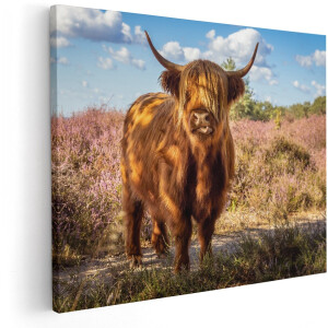 Artaza Canvas Schilderij Schotse Hooglander Koe In De Wei - 150x120 cm - Groot - Wanddecoratie Woonkamer - Schilderijen - Muurdecoratie
