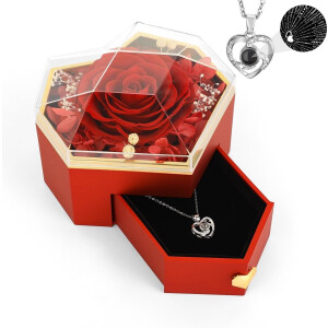 Sander Shop Geconserveerde echte roos met hartketting, Eternal Flowers rozenbox met 'I Love You'-ketting in 100 talen, rozensieraad cadeau voor moeder, vrouw, echtgenote, Valentijnsdag, oma, rood