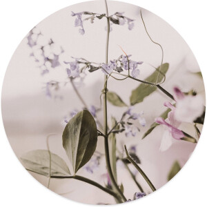 Label2X - Muurcirkel boho - Ø 40 cm - Dibond - Multicolor - Wandcirkel - Rond Schilderij - Muurdecoratie Cirkel - Wandecoratie rond - Decoratie voor woonkamer of slaapkamer