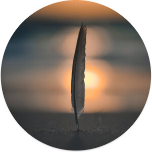 Label2X - Schilderij - Feather Beach Ø Aanbevolen - Multicolor - 80 X 80 Cm