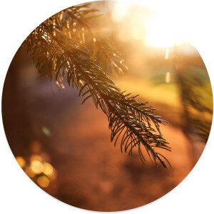 Label2X - Muurcirkel flare - Ø 12 cm - Forex - Multicolor - Wandcirkel - Rond Schilderij - Muurdecoratie Cirkel - Wandecoratie rond - Decoratie voor woonkamer of slaapkamer