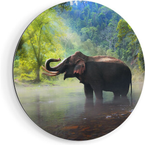 Artaza Dibond Muurcirkel Olifant In Het Water - Ø 90 cm - Groot - Wandcirkel - Rond Schilderij - Voor Binnen en Buiten