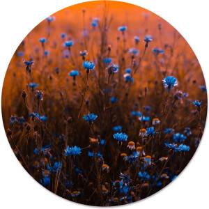 Label2X - Muurcirkel - Blue Dream - Ø 20 cm - Dibond - Multicolor - Wandcirkel - Rond Schilderij - Bloemen en Planten - Muurdecoratie Cirkel - Wandecoratie rond - Decoratie voor woonkamer of slaapkamer