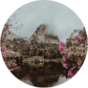 Label2X - Muurcirkel mystic zen - Ø 12 cm - Forex - Multicolor - Wandcirkel - Rond Schilderij - Muurdecoratie Cirkel - Wandecoratie rond - Decoratie voor woonkamer of slaapkamer