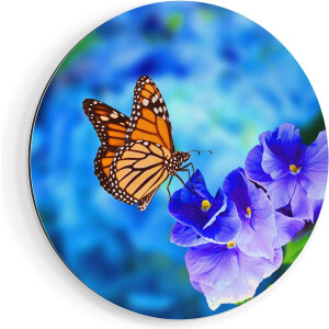 Artaza Dibond Muurcirkel Oranje Vlinder Bij Paarse Bloemen - Ø 80 cm - Groot - Wandcirkel - Rond Schilderij - Voor Binnen en Buiten